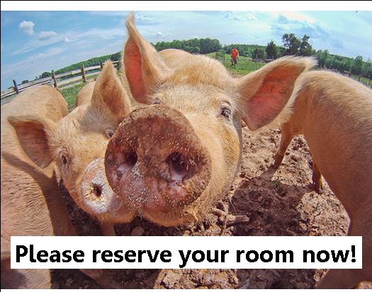 Close-up of pigs in a muddy pen with a humorous room reservation sign.