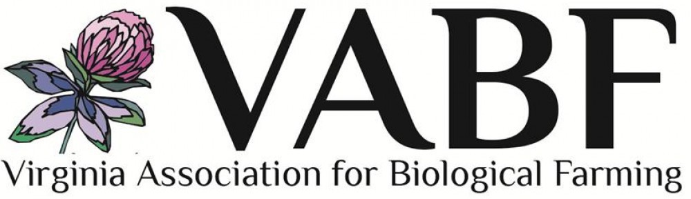 Logo displaying 'WABI' abbreviation.
