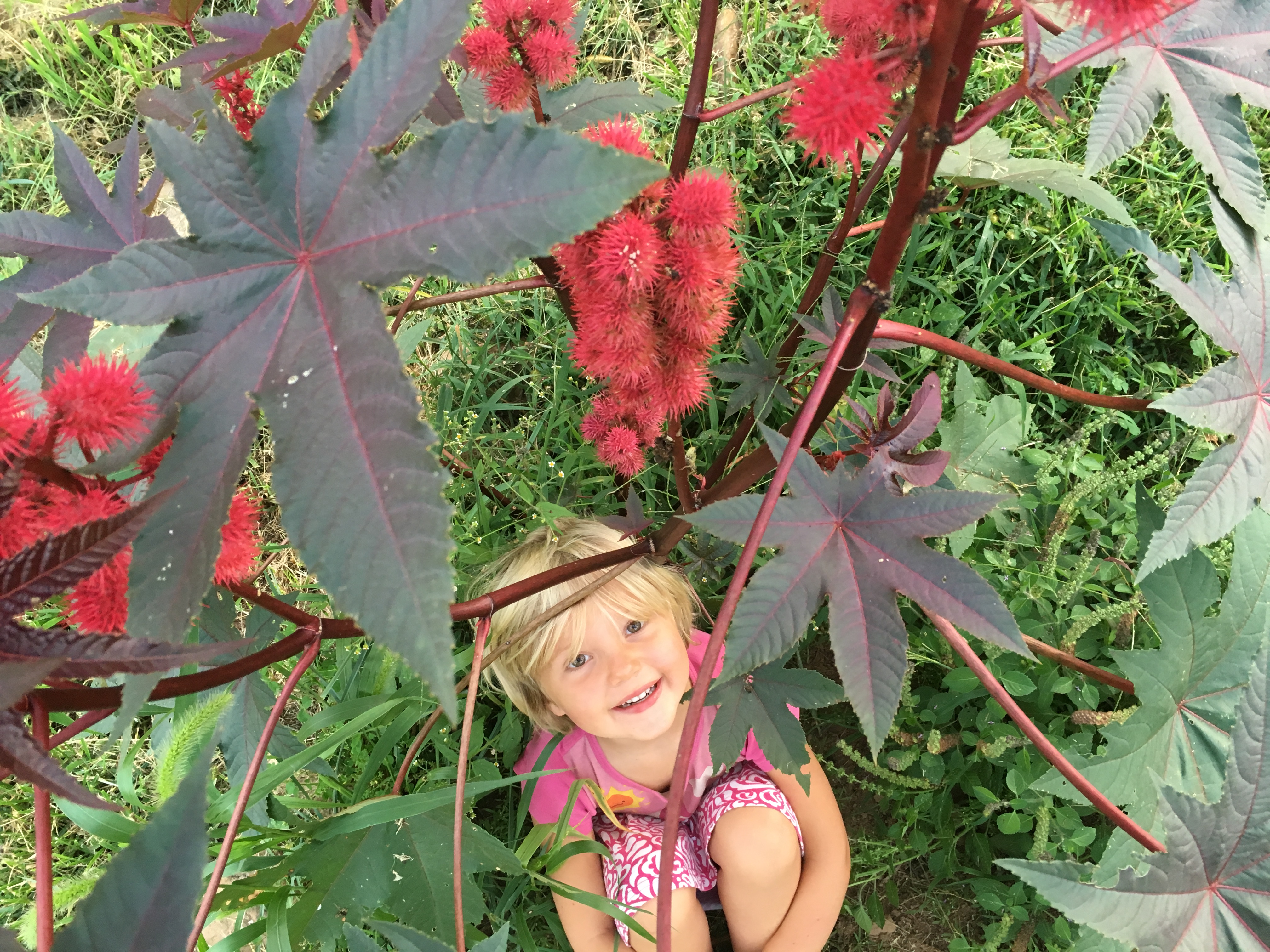 A smiling girl wearing a hat stands among red castor bean plant leaves.