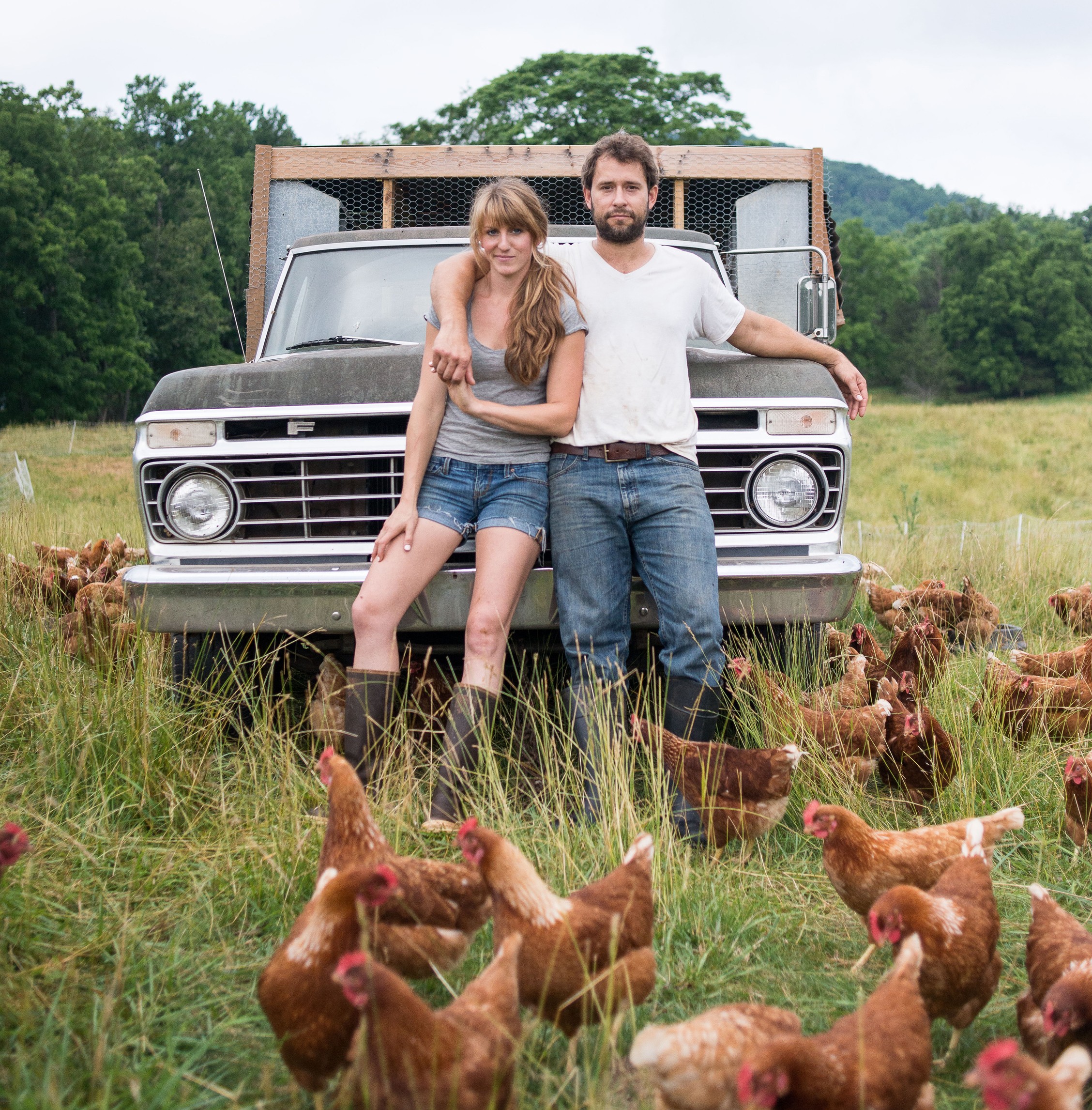 A couple standing by a truck surrounded by chickens.