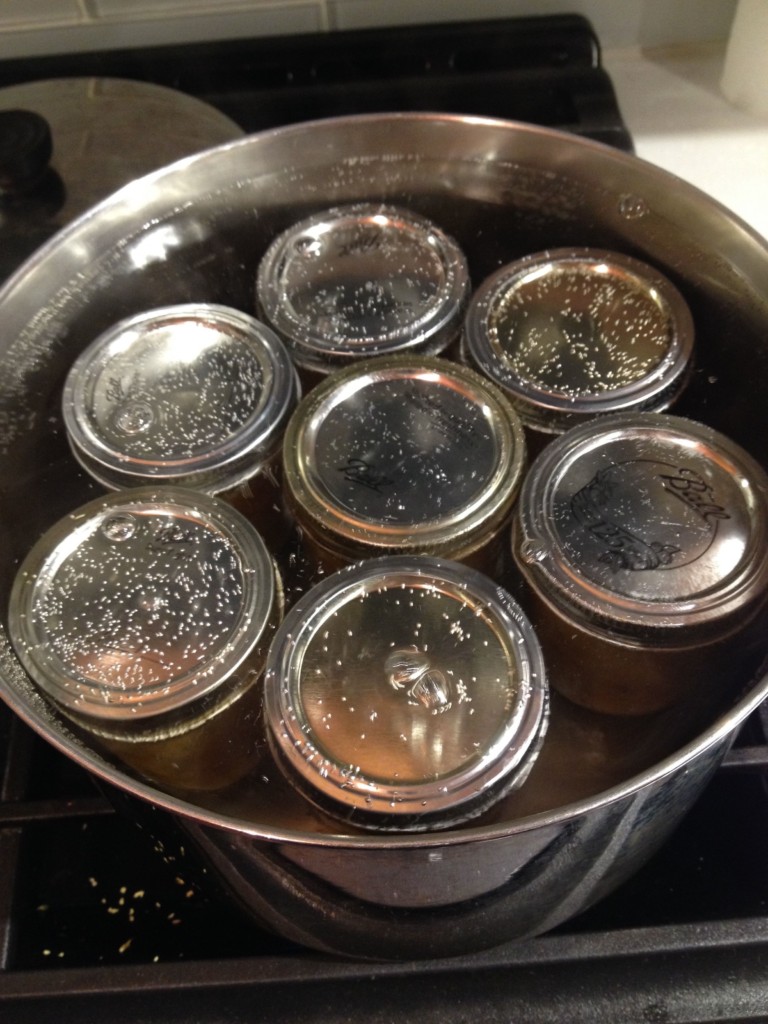 Seven glass jars filled with liquid, placed in a pot of water.
