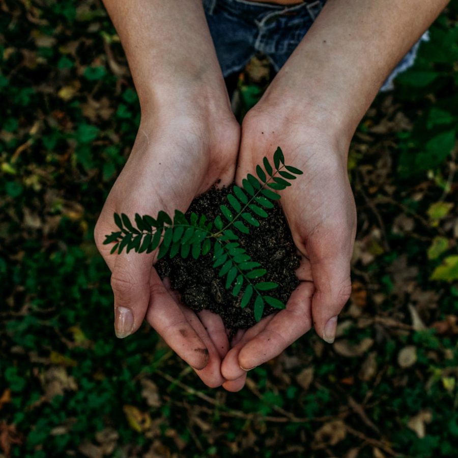 On-Farm Fertility: Building soil that builds itself