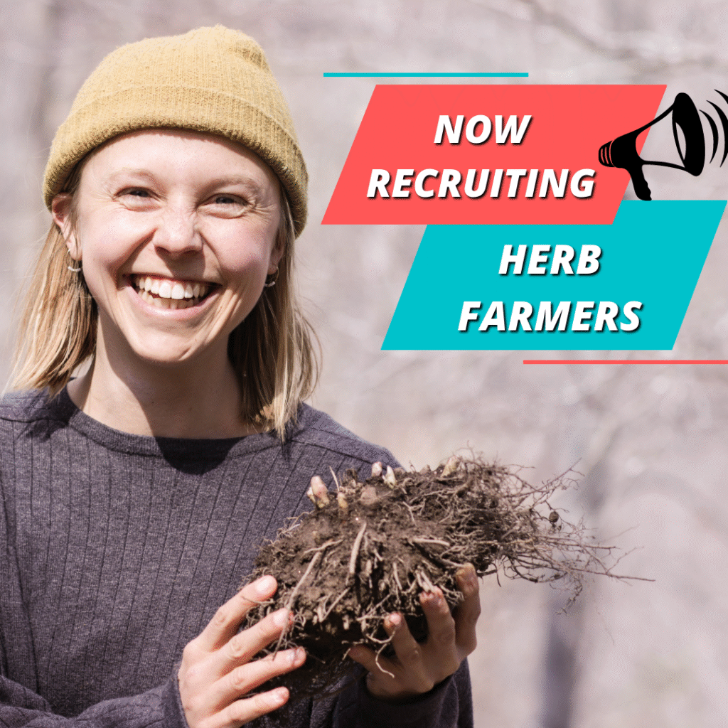 Smiling person holding plant, recruiting herb farmers.