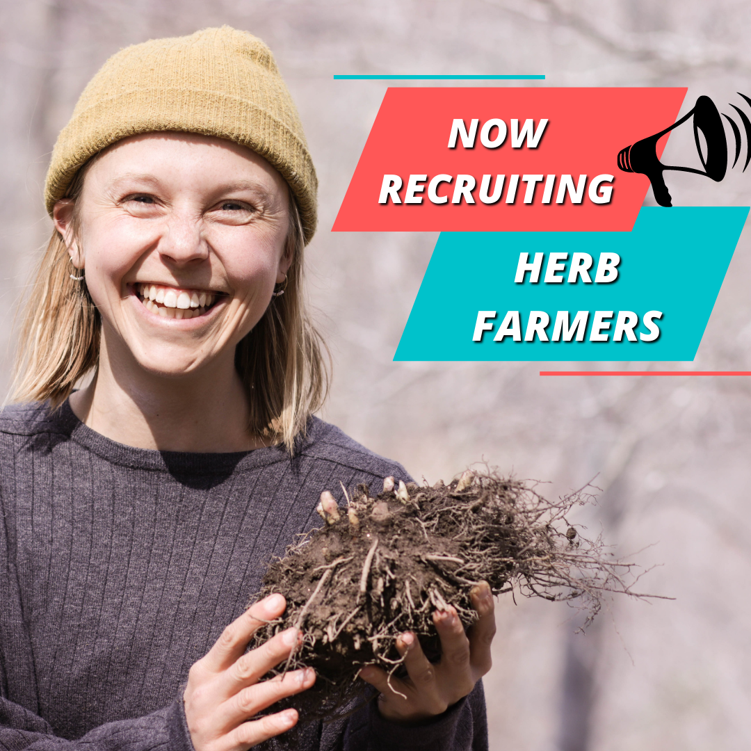 Smiling person holding plant, recruiting herb farmers.