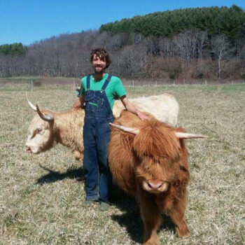 A man standing with two Highland cows in a field.