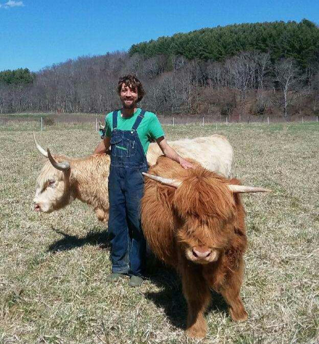 A man standing with two Highland cows in a field.