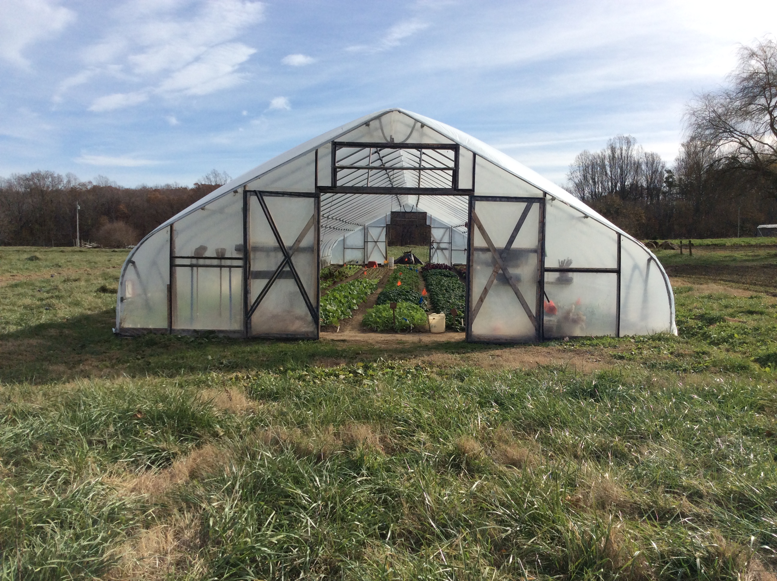 Greenhouse with plants inside on a grassy field.