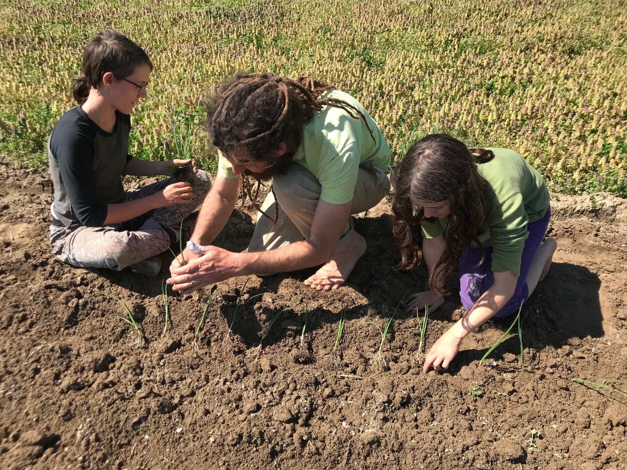 Three children planting seeds in a garden bed.