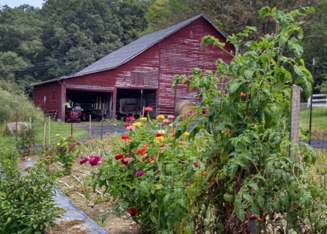 A rustic red barn surrounded by colorful flowers and greenery.
