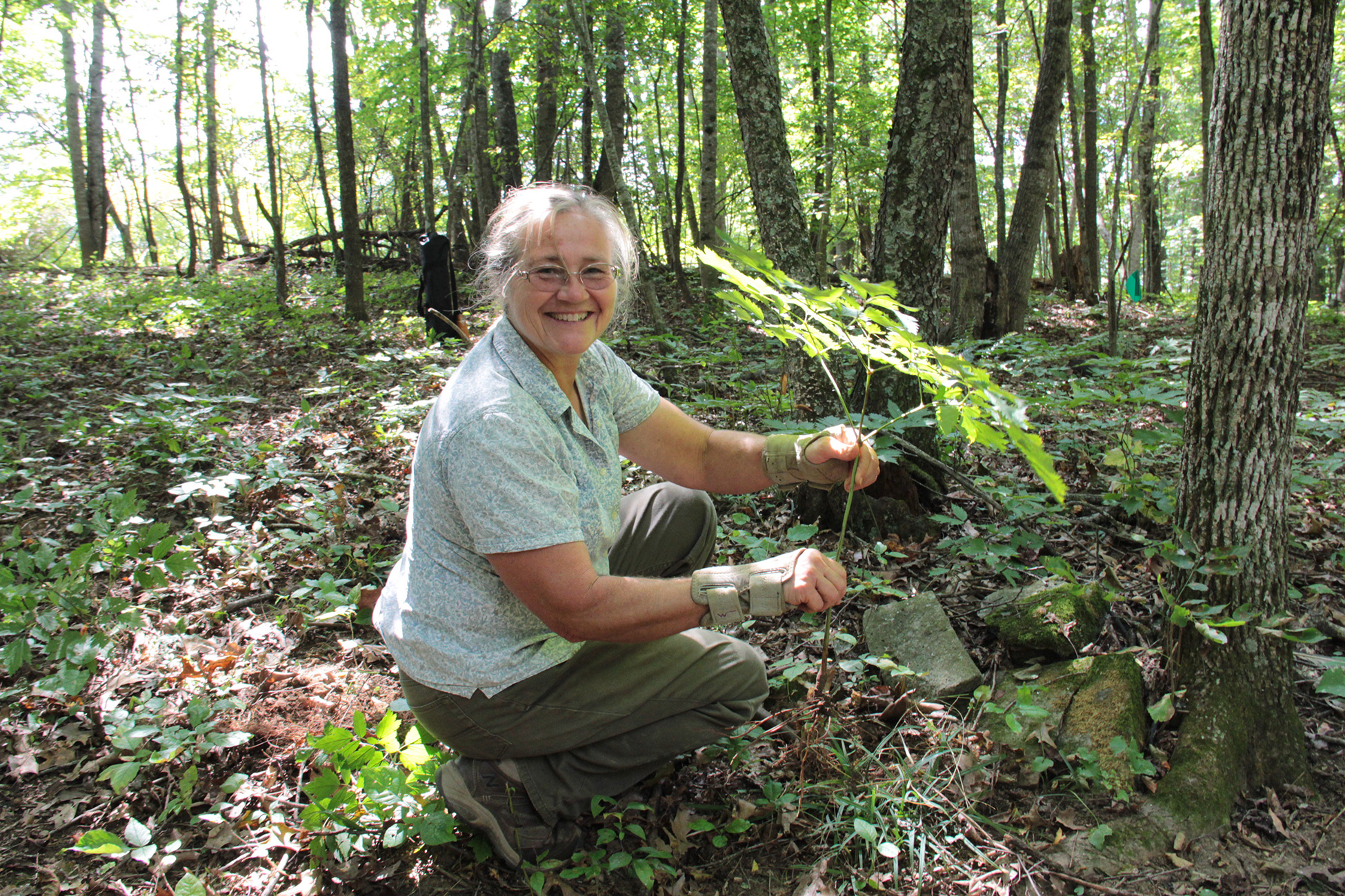 An elderly woman gardening in a forested area.