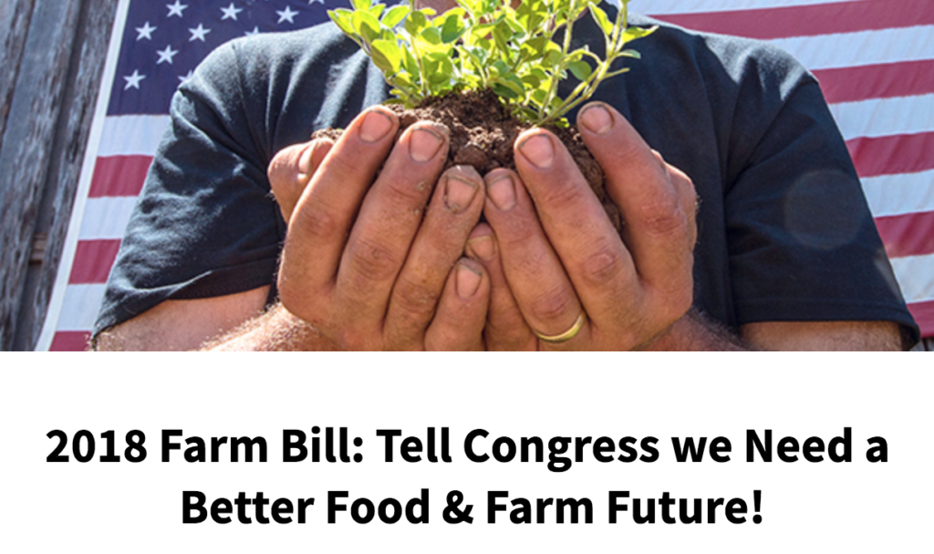 Hands holding a small plant with soil, symbolizing farming and growth.