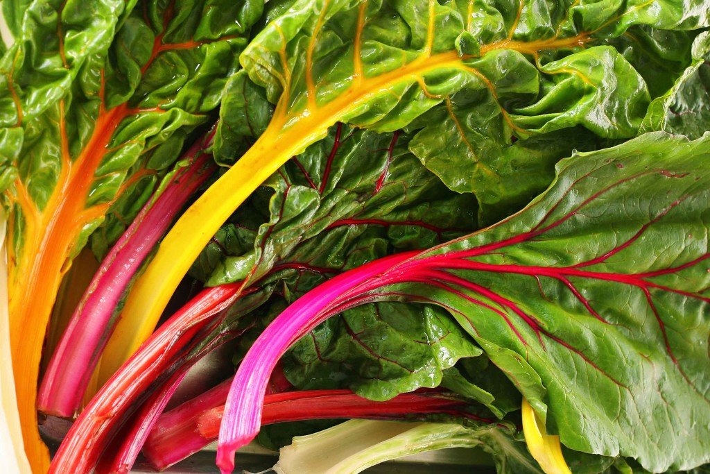 Colorful Swiss chard leaves with vibrant stems.