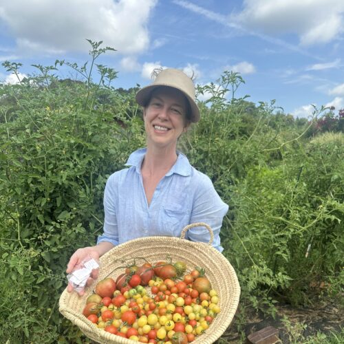 A woman holding a basket of cherry tomatoes in a garden.