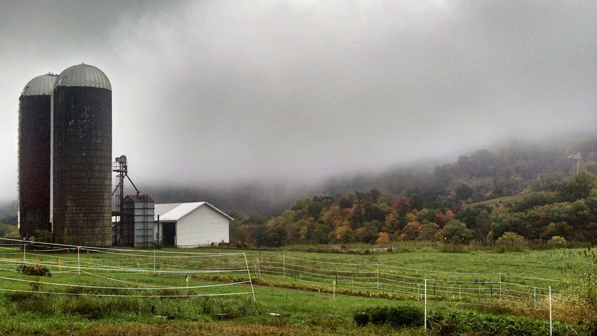A misty rural landscape with a small white house and fenced green fields.